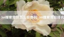 360搜索竞价怎么收费的_360搜索竞价排名