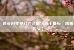 跨服购买梦幻西游藏宝阁手机版「跨服购买」