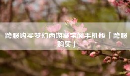跨服购买梦幻西游藏宝阁手机版「跨服购买」