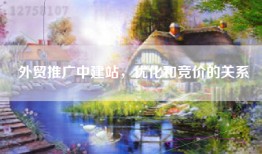 外贸推广中建站，优化和竞价的关系