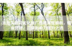 池州关键词优化推广费用深度解析，精准营销，品牌影响力提升之道