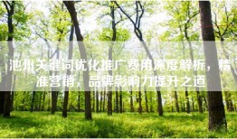 池州关键词优化推广费用深度解析，精准营销，品牌影响力提升之道