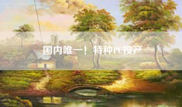国内唯一！特种PC投产
