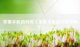 苹果手机拍月亮（苹果手机拍月亮有两个）