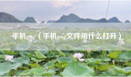 手机png（手机png文件用什么打开）