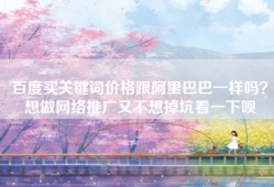 百度买关键词价格跟阿里巴巴一样吗？想做网络推广又不想掉坑看一下呗