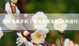 黑莓滑盖手机（黑莓滑盖手机priv有国行的吗）