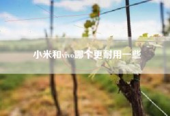 小米和vivo哪个更耐用一些