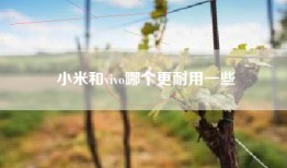 小米和vivo哪个更耐用一些