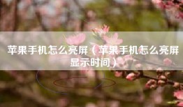 苹果手机怎么亮屏（苹果手机怎么亮屏显示时间）