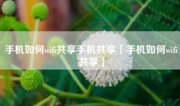手机如何wifi共享手机共享「手机如何wifi共享」
