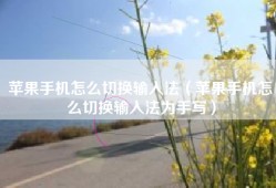 苹果手机怎么切换输入法（苹果手机怎么切换输入法为手写）