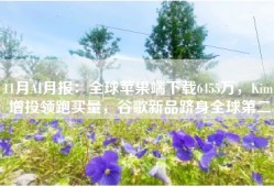 11月AI月报：全球苹果端下载6455万，Kimi增投领跑买量，谷歌新品跻身全球第二