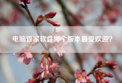 电脑管家软件哪个版本最受欢迎？