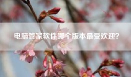 电脑管家软件哪个版本最受欢迎？