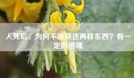 人死后，为何不能烧这两样东西？有一定的道理