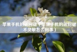 苹果手机的返回键（苹果手机的返回键不灵敏怎么回事）