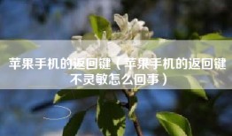 苹果手机的返回键（苹果手机的返回键不灵敏怎么回事）