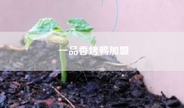 一品香烤鸭加盟