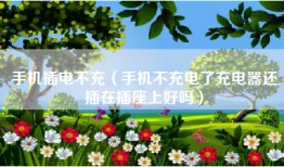 手机插电不充（手机不充电了充电器还插在插座上好吗）