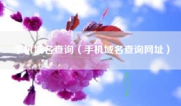 手机域名查询（手机域名查询网址）