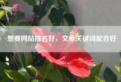 想要网站排名好，文章关键词配合好