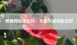 想要网站排名好，文章关键词配合好