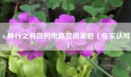 6 种行之有效的电商营销策略（专家认可）