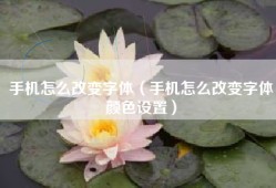 手机怎么改变字体（手机怎么改变字体颜色设置）