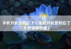 手机开机密码忘了（手机开机密码忘了不想清除数据）