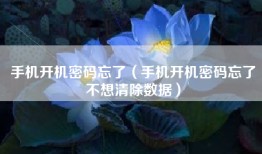 手机开机密码忘了（手机开机密码忘了不想清除数据）