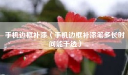 手机边框补漆（手机边框补漆笔多长时间能干透）