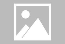 关键词排名怎么优化出来的-关键词排名优化工具有用吗