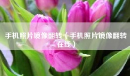手机照片镜像翻转（手机照片镜像翻转在线）