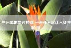 兰州墓地贵过楼盘 一声死不起让人徒生叹(图)