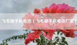飞毛腿手机电池（飞毛腿手机电池厂家）