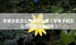 苹果手机怎么开微信分身（苹果手机怎么开微信分身功能）