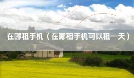 在哪租手机（在哪租手机可以租一天）