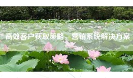 高效客户获取策略，营销系统解决方案