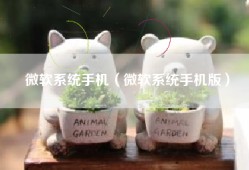 微软系统手机（微软系统手机版）