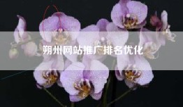 朔州网站推广排名优化