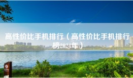 高性价比手机排行（高性价比手机排行榜2024年）