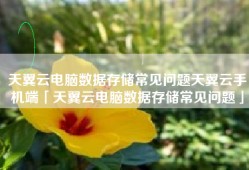 天翼云电脑数据存储常见问题天翼云手机端「天翼云电脑数据存储常见问题」