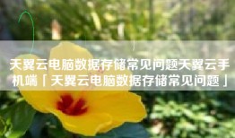 天翼云电脑数据存储常见问题天翼云手机端「天翼云电脑数据存储常见问题」