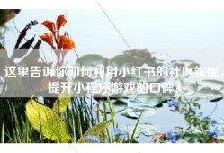 这里告诉你如何利用小红书的社区氛围，提升小程序游戏的口碑？