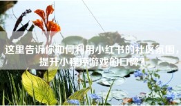 这里告诉你如何利用小红书的社区氛围，提升小程序游戏的口碑？
