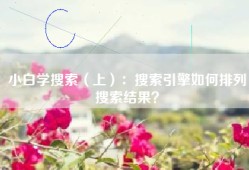 小白学搜索（上）：搜索引擎如何排列搜索结果？