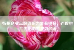 忻州企业品牌影响力显著提升，百度推广优化助力成效显著