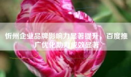 忻州企业品牌影响力显著提升，百度推广优化助力成效显著
