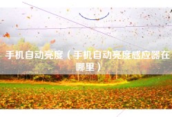 手机自动亮度（手机自动亮度感应器在哪里）